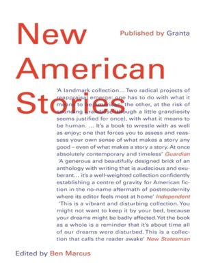 cover image of New American Stories